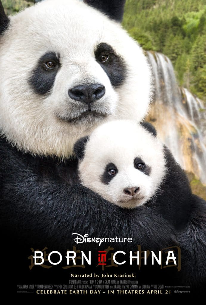 Disneynature Born in China Trailer and poster