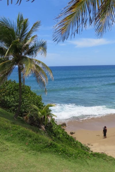 An Unassuming Paradise: Complete Guide for Travel to Rincon, Puerto Rico