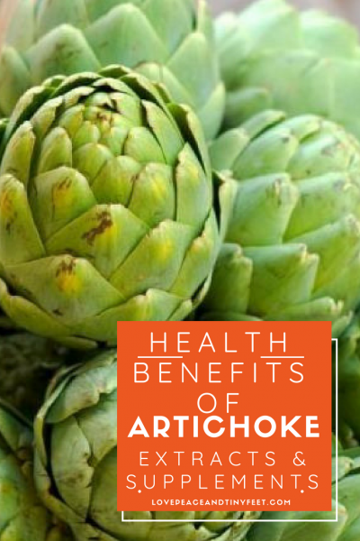 Key Health Benefits of Artichoke Extracts and Supplements